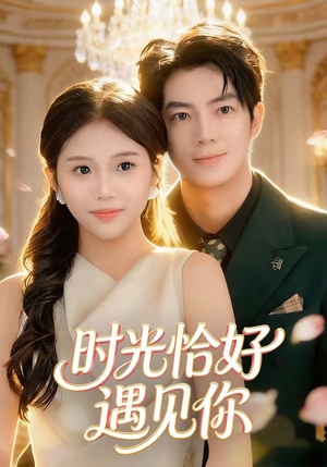 时光恰好遇见你（80集）经典回顾免费看