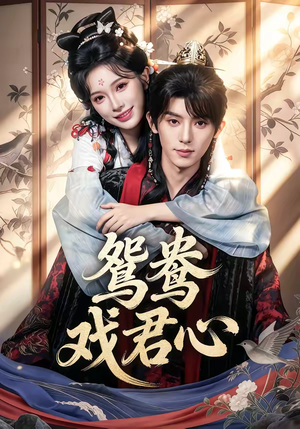 鸳鸯戏君心(60集) 鸳鸯戏君心(60集)爆款短剧抢先看