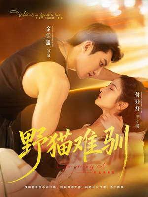 野猫难驯（73集）真的太精彩了