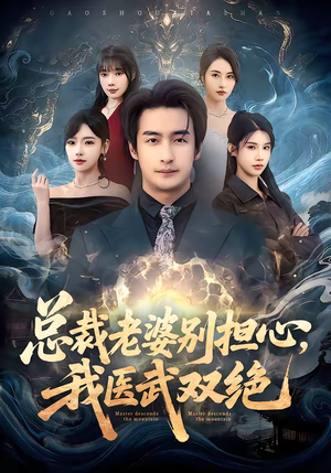 总裁老婆别担心，我医武双绝（80集）看到了大结局