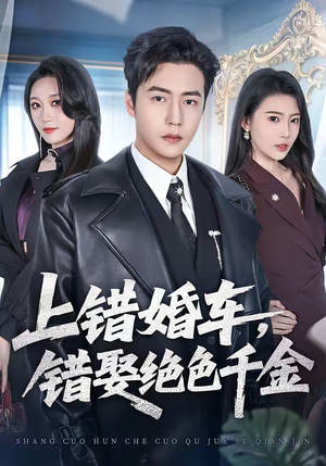 上错婚车，错娶绝色千金（80集）最火短剧热播