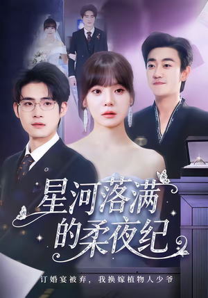 星河落满的柔夜纪（88集）免费短剧看不停