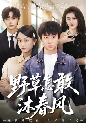 野草怎敢沐春风（61集）精彩短剧推荐