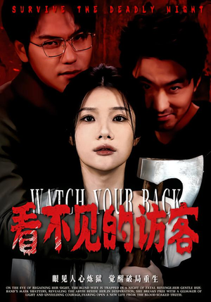 看不见的访客（62集）精彩不断免费看