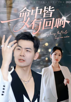 命中皆有回响（62集）短剧热门推荐