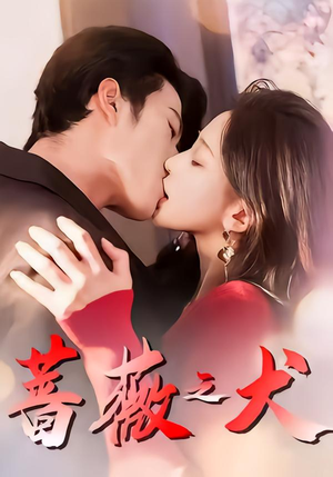 蔷薇之犬（60集）一起追生活短剧