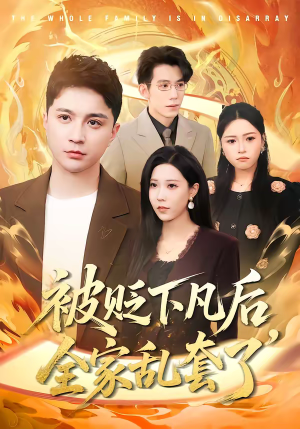 被贬下凡后全家乱套了(88集) 被贬下凡后全家乱套了(88集)男主角是谁