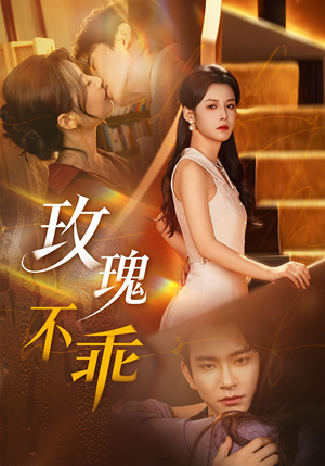 玫瑰不乖（69集）全集一次看完