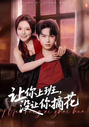 让你上班,没让你摘花(70集) 让你上班,没让你摘花(70集)第一集