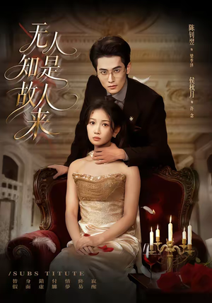 无人知是故人来(60集) 无人知是故人来(60集)全集下载