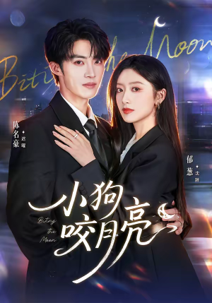 小狗咬月亮（66集）穿越短剧推荐