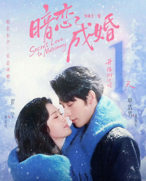 暗恋成婚(60集) 暗恋成婚(60集)短剧在哪个平台