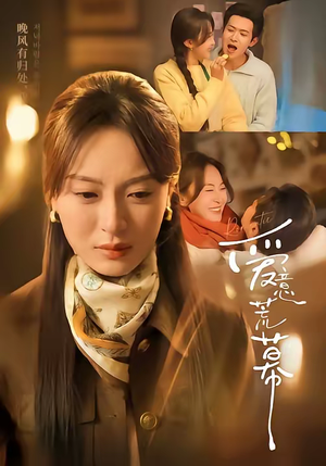 爱意荒幕（70集）短剧上热门