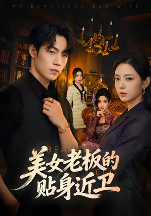 美女老板的贴身近卫（60集）免费观看全集
