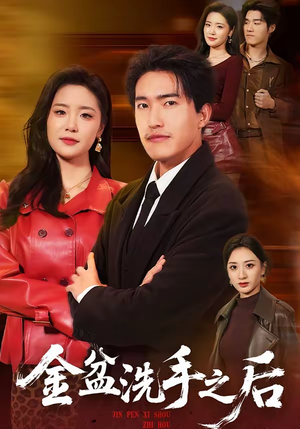 金盆洗手之后(62集) 金盆洗手之后(62集)在线看完整版