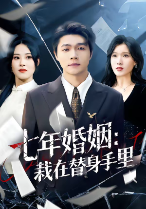 七年婚姻：栽在替身手里（80集）第三季