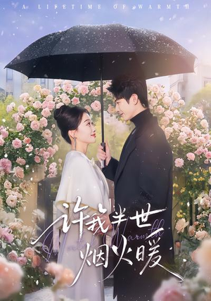 许我半世烟火暖（66集）短剧解说热门