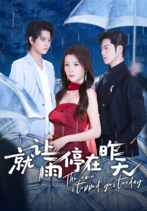 就让雨停在昨天（70集）短剧热门合集