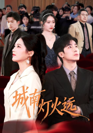 城南灯火远（72集）爆款热门短剧
