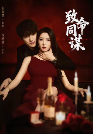 致命同谋（63集）网盘在线观看