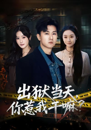 出狱当天,你惹我干嘛?(62集) 出狱当天,你惹我干嘛?(62集)UC网盘在线看