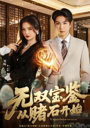 无双宝鉴，从赌石开始（70集）在线观看完整版