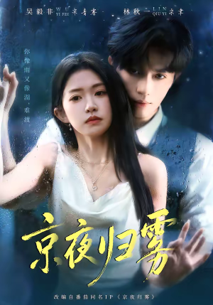 京夜归雾（71集）一共多少集