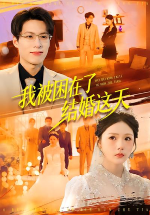 我被困在了结婚这天(40集) 我被困在了结婚这天(40集)夸克在线观看