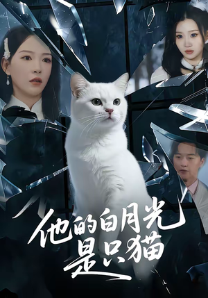 他的白月光是只猫（69集）百度网盘在线看