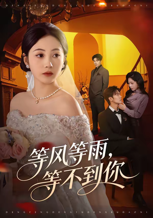 等风等雨,等不到你(65集) 等风等雨,等不到你(65集)热播短剧重燃