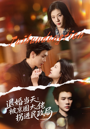 退婚当天:被京圈大佬拐进民政局(80集) 退婚当天:被京圈大佬拐进民政局(80集)短剧后续更精彩
