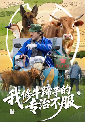 我修牛蹄子的专治不服（80集）360网盘观看