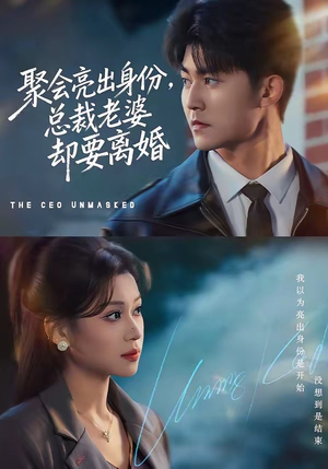 聚会亮出身份，总裁老婆却要离婚（81集）视频在线看