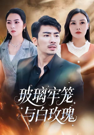 玻璃牢笼与白玫瑰(75集) 玻璃牢笼与白玫瑰(75集)最火爆的短剧