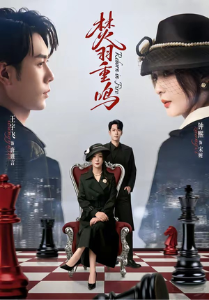 焚羽重鸣(60集) 焚羽重鸣(60集)大结局