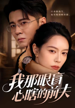 我那眼盲心瞎的前夫（61集）剧情简介