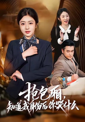 抢包厢,知道我身份后你哭什么(70集) 抢包厢,知道我身份后你哭什么(70集)在哪看