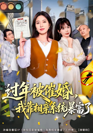 过年被催婚,我靠相亲系统暴富了(82集) 过年被催婚,我靠相亲系统暴富了(82集)看到大结局