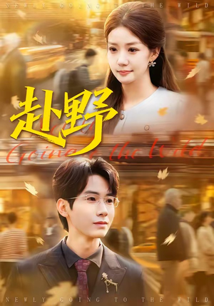 赴野（40集）追风的女孩短剧