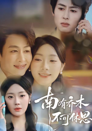南有乔木，不可休思（68集）热播短剧来袭