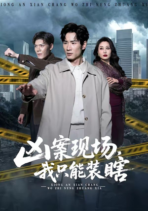 凶案现场，我只能装瞎（72集）短剧免费看