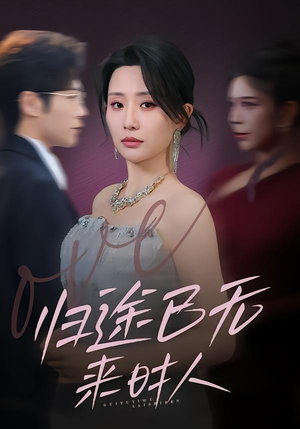 归途已无来时人（70集）演的怎么样