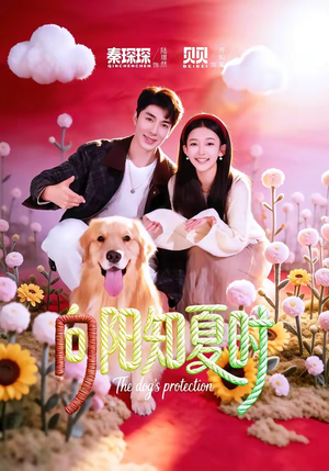 向阳知夏时（80集）短剧热播抢先看