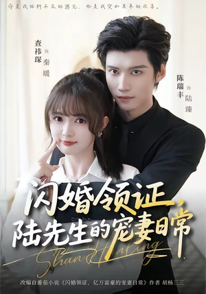 闪婚领证，陆先生的宠妻日常（86集）好看上头的短剧
