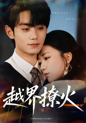 越界撩火（64集）热门短剧在线看
