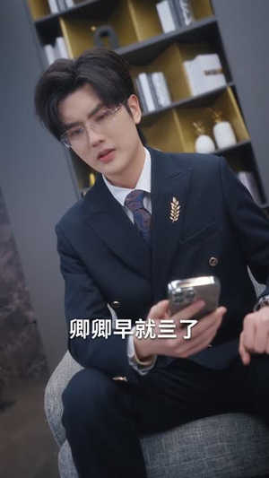 七爷，二小姐的马甲掉不停（80集）热播古装短剧