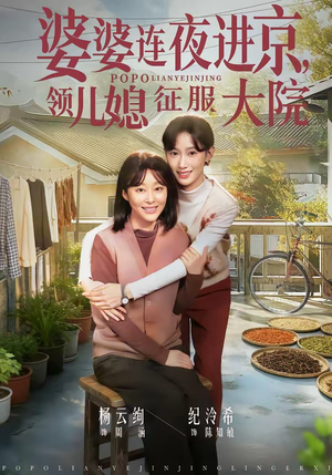 婆婆连夜进京,领儿媳征服大院(78集) 婆婆连夜进京,领儿媳征服大院(78集)贝贝短剧分享