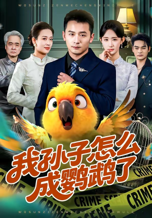 我孙子怎么成鹦鹉了（71集）精彩短剧随心推