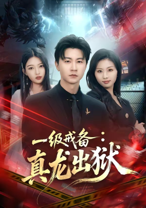 一级戒备：真龙出狱（73集）短剧上热门