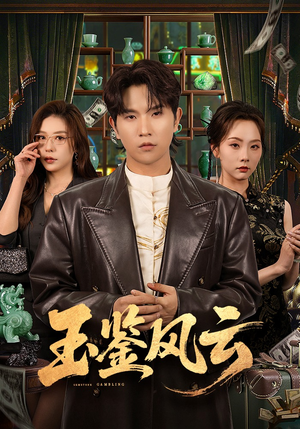 玉鉴风云（81集）免费版